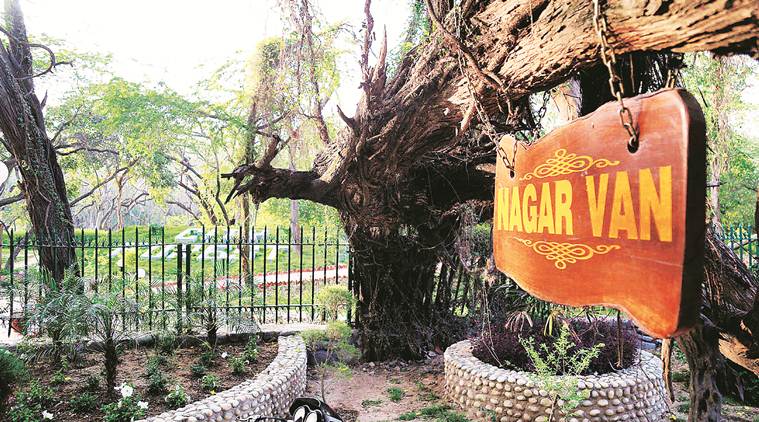 chandigarh, chandigarh nagar van, chandigarh news, chandigarh bird park, veterinary hospital, indian express