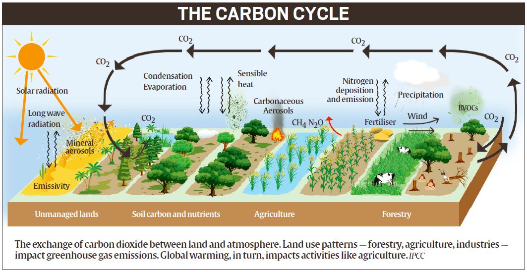 Explained What the new IPCC report says on land and climate change