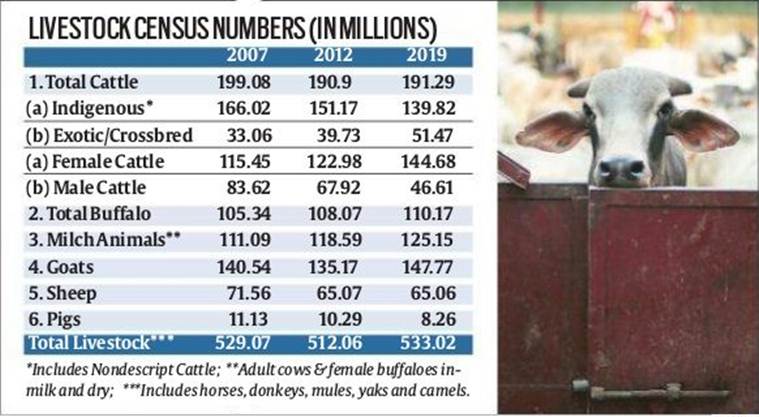 cattel in india, cows decreasing in india, Rashtriya Gokul Mission (RGM), desi cattle, BJP cow, indian express