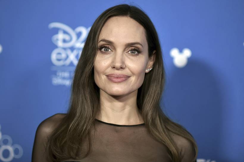 d23 expo