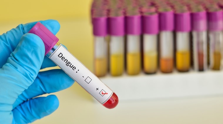 dengue, malaria, zika, chikungunya, denge symptoms, monsoon, indian expres