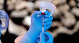 Pakistan denies preparing vaccine for COVID-19; cases cross 12,000