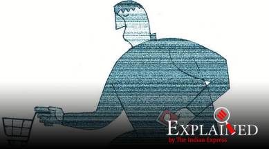 india economy slowdown, nirmala sitharaman economy slowdown measures, parle g sales down, auto sector production economy, Indian economy, India economy supply demand, demand paucity india, supply demand rate indian economy, indian express