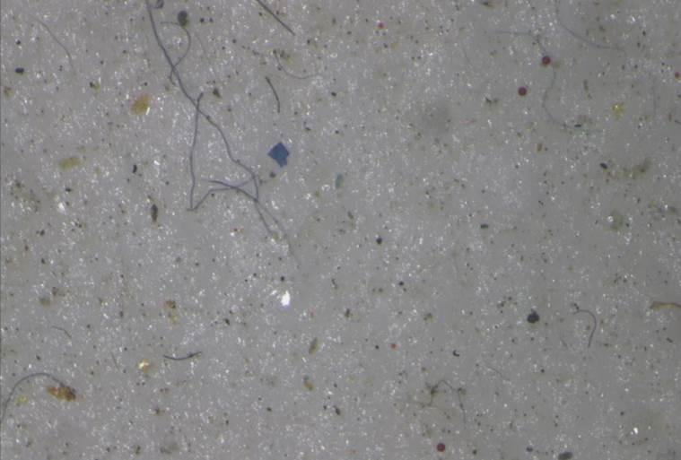Arctic, ice, plastic, plastic in arctic, plastic in arctic snow, arctic region, plastic in arctic region, science news, Indian Express