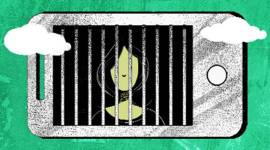 EYE_cats_759 Missing, Sumana Roy, SundayEYE, indianexpress.com, indianexpress, demonetisation, freedom,