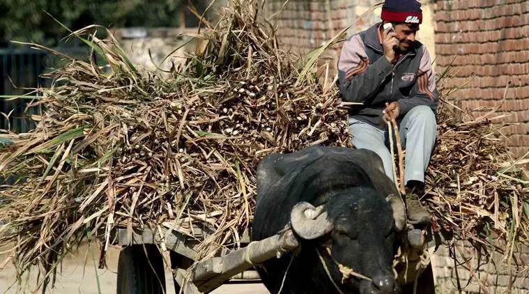 Maharashtra, Maharashtra farmers, Maharashtra farmers mobile phones, Maharashtra farmer incomes, Maharashtra farmer helpline,