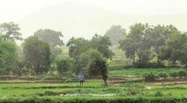 kharif, kharif season, kharif crop, kharif cropping season, farmers, indian farmers, agriculture, India monsoon, India weather, india meterorological department, imd, indian express