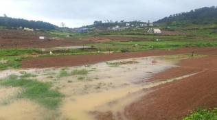 Nilgiris floods, Ooty