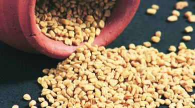 insulin sensitivity, type 1 diabetes, type 2 diabetes, indianexpress.com, indianexpress, fenugreek seeds, methi dana, blood sugar