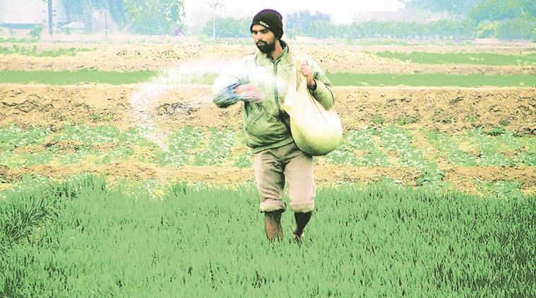 Monsoon recovery spurs nutrient sales