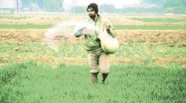 Monsoon recovery spurs nutrient sales