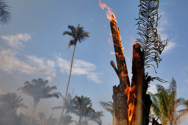 Amazon fire, Brazil president on Amazon fires, Fires in the Amazon, Amazon rainforest fires, amazon fire photos, world news, indian express