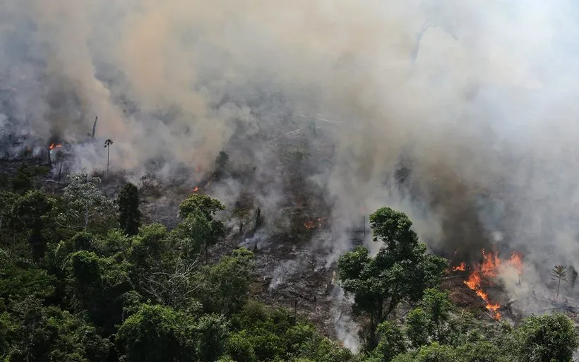 Amazon Burning: Brazil Reports Record Forest Fires | World News News ...