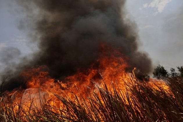 Amazon forest fire, amazon fire, Brazil president on Amazon fires, Fires in the Amazon, Amazon rainforest fires, amazon fire photos,