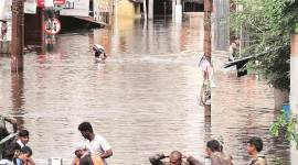 maharashtra floods, maharashtra flood losses, maharashtra farmers loss during floods, maharashtra news