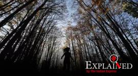 forests in india, India State of Forest Report, india forests cover, india forests percentage, ISFR report, Environment Ministry, indian express