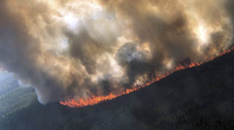 Brazil forest fire, Amazon forest fire, Amazon rainforest in Brazil, Forest fires Indonesia, Climate change forest fires, Indian Express World news