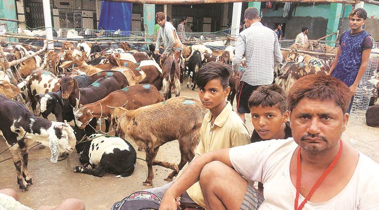Deonar abattoir, Deonar abattoir bakri eid, bakri eid date, mumabi rains, mumabi rains news