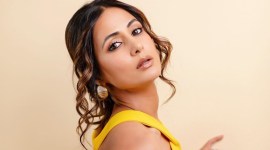 Hina Khan on Cannes Film Festival. Priyanka Chopra and representing India at New York Independence day celebration