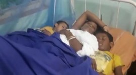 Janmashtami celebrations bengal temple stampede, stampede in bengal temple, Janmashtami celebrations, Janmashtami 2019, west bengal news