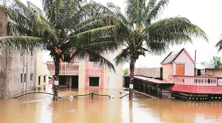 Maharashtra rains, Kolhapur rains, farmlands under water, Maharashtra farmlands, maharashtra farmlands flooded, maharashtra floods, indian express
