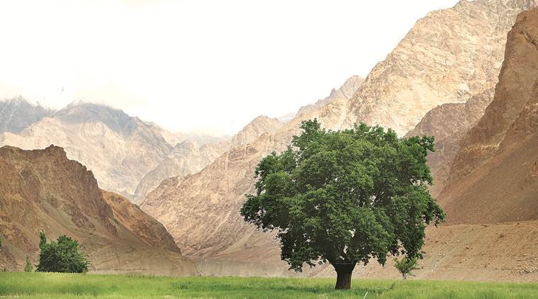 leh, india, pakistan, india pakistan border, turtuk village, debashish borah, photographer debashish borah, photos, the land with pakistani trees, photo exhibition pune, artists, indian express news