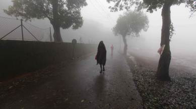 Second year in a row: Mahabaleshwar gets above normal rainfall, beats Cherrapunji