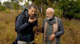 Modi is all set to appear on a special episode of the popular wildlife show with Grylls at 9 pm on August 12 on Discovery India.