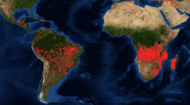 Nasa S Satellite Images Show Forest Fires In Africa More Intense Than Amazon Technology News The Indian Express