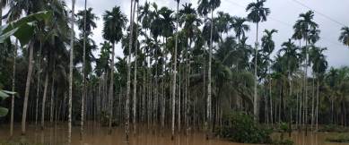 kerala floods, kerala floods LIVE, kerala floods death toll, Kerala rains, LIVE Kerala weather updates, Kerala weather today, Karnataka floods, Maharashtra floods, Gujarat floods,