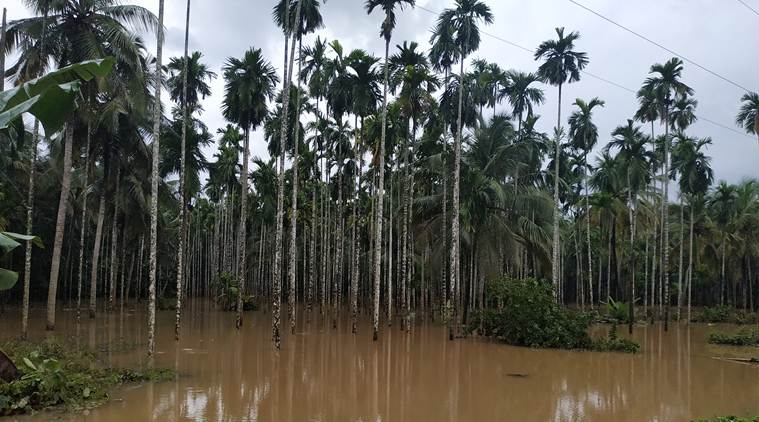 kerala floods, kerala rains floods, nilambur kerala floods, kerala floods update, nilambur kerala,