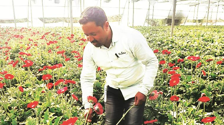 Prashant Narnaware, Osmanabad DM Award Category: Agriculture How Osmanabad farmers joined hands to transform fortunes of a rain-fed district