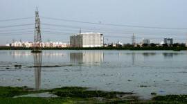 Chennai's Pallikaranai marshland reduced due to encroachment by govt agencies, IT companies, finds report