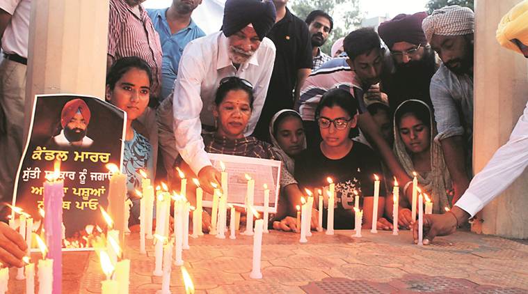 punjab stray cattle attack, punjab stray cattle menace, punjab minister, punjab news, 