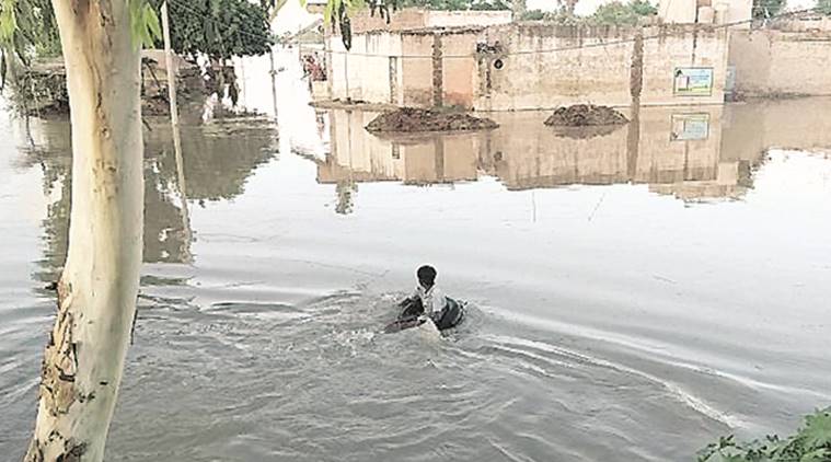 gujarat rains, gujarat floods, dahod rain, dahod flood alert, gujarat news