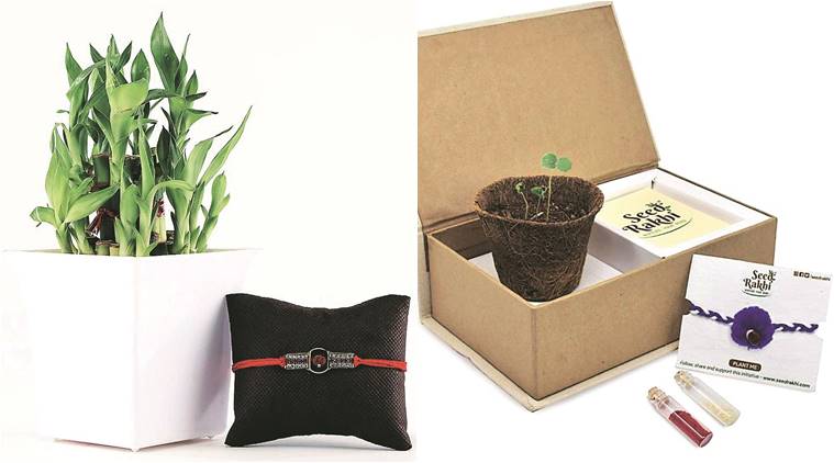 Rakhi, rakshabandhan, rakhi celebration, environment friendly rakhi, rakhi festival, pune, pune news, indian express