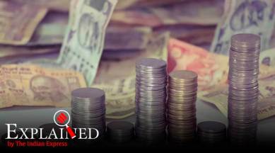 Budget, Budget 2019, Union Budget 2019, state budgets, state budgets 2019, GDP, India's GDP, GDP growth, Express Explained, Indian Express