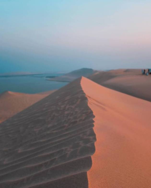 sanya malhotra qatar
