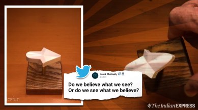 3-d arrow Optical Illusion, mathematician arrow optical illusion, Kokichi Sugihara mathematician arrow optical illusion, optical illusion viral video, trending, indian express, indian express news