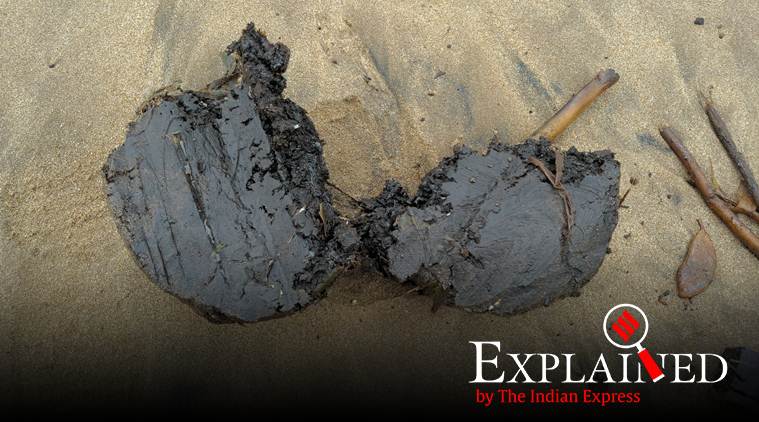Explained: What are the big, black oil-emanating tarballs seen on Mumbai's beaches?