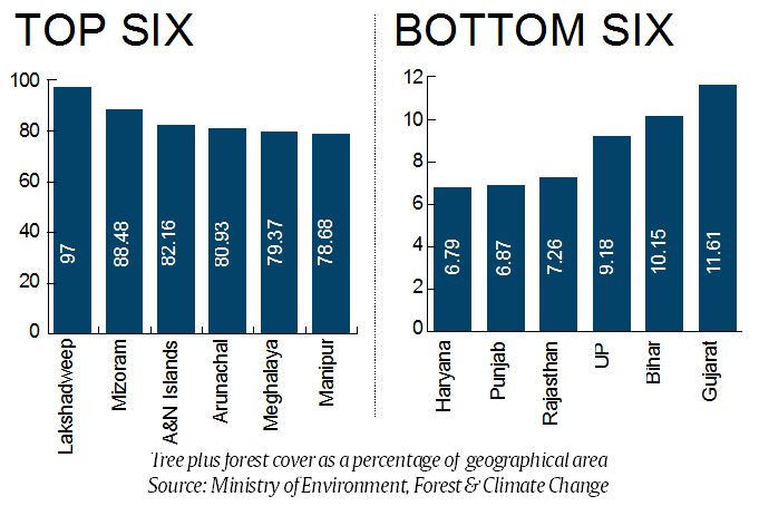 forests in india, India State of Forest Report, india forests cover, india forests percentage, ISFR report, Environment Ministry, indian express