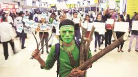 trees felling activitys Tree Authority meeting mumbai, mumbai trees felling, save tree mumbai, indian express news