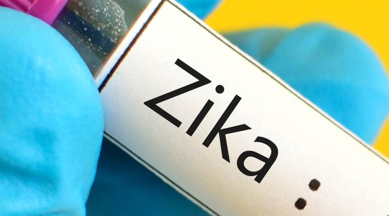 zika, zika virus, zika treatment, zika symptoms, indian express, indian express