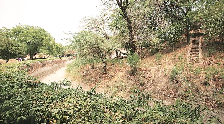 Transfer of Delhi zoo to central authority under discussion: Supriyo