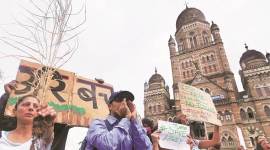 Aarey carshed: Facing flak for voting in favour of felling trees Two experts resign, say Tree Authority panel didn’t hear our recommendations