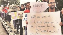 To save Aarey, activists plan human chain, hunger strike today