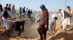 US, Taliban say they will sign agreement on Feb 29 following violence cut pact