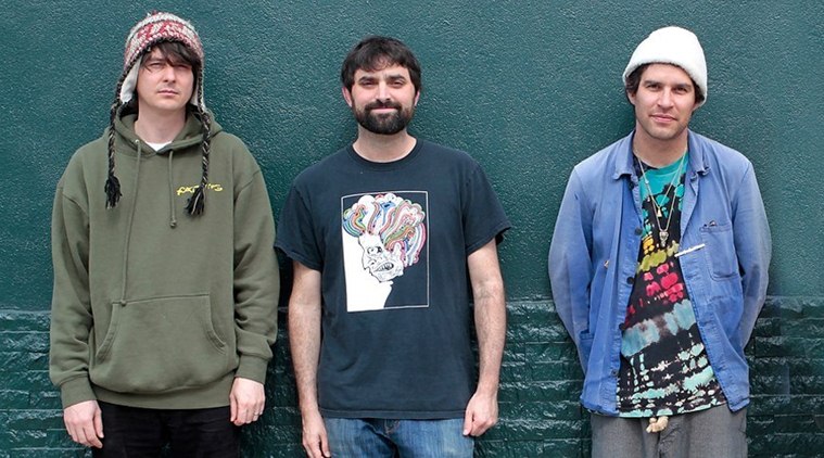 have you heard animal collective