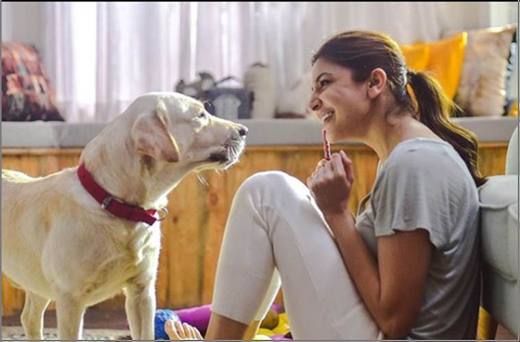 Anushka Sharma, pet parent, pet, famous pets, celebrity pets, Indian Express, Indian Express news