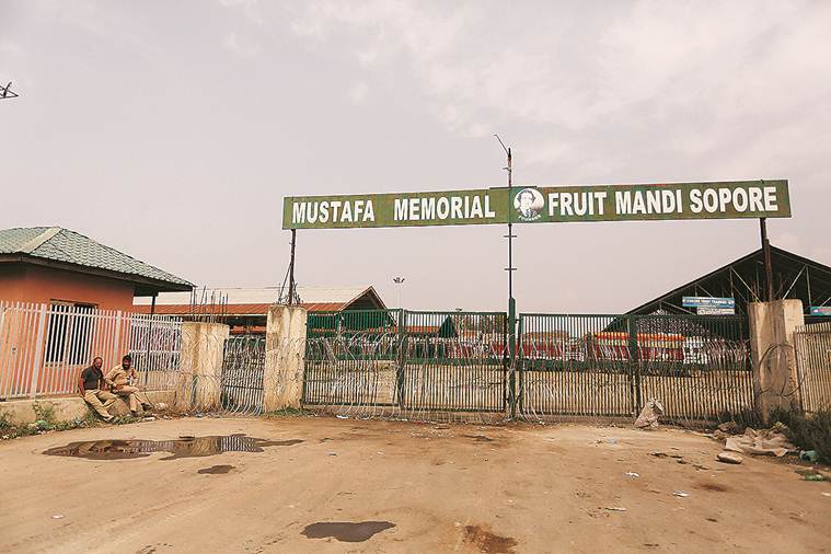 apple market in kashmir, sopore fruit mandi, kashmir, kashmir apples orchards, kashmir clampdown, nafed, kashmir news